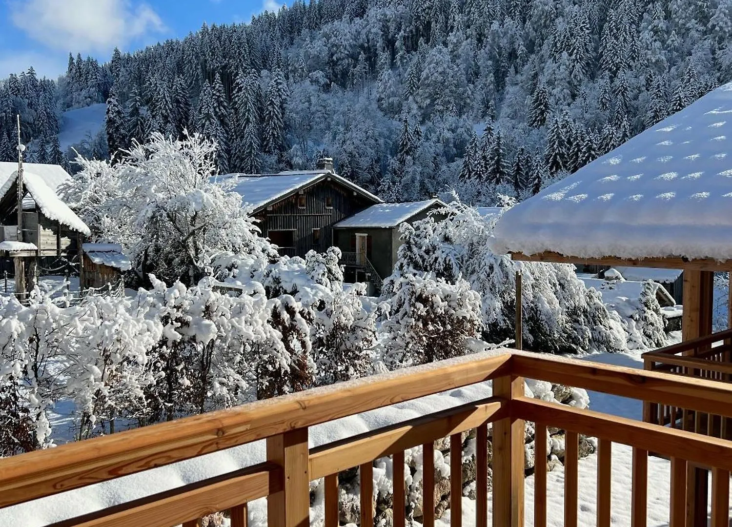 Cairn Harmony - Apartment B209 Les Gets France